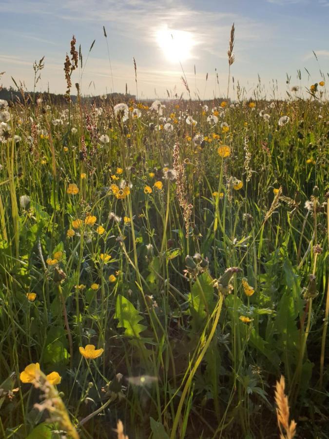 Ferienwohnung Rupp Argenbuhl Buitenkant foto