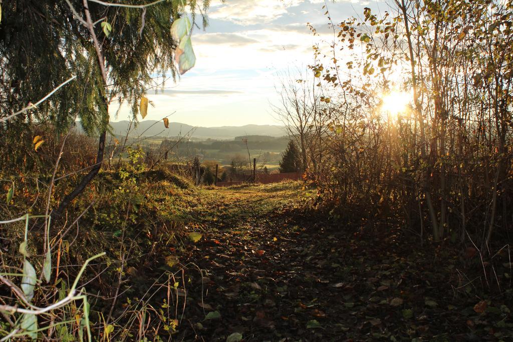 Ferienwohnung Rupp Argenbuhl Buitenkant foto
